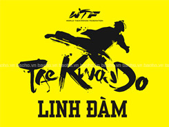 Taekwondo Linh Đàm